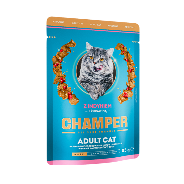 Champer cat indyk kot